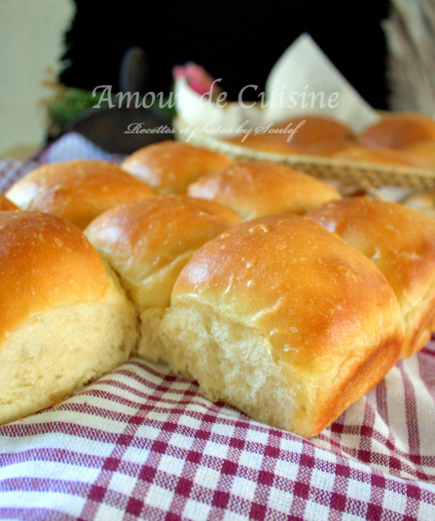 Homemade dinner rolls