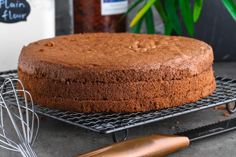 fluffy and soft chocolate sponge cake