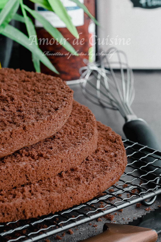 chocolate sponge cake