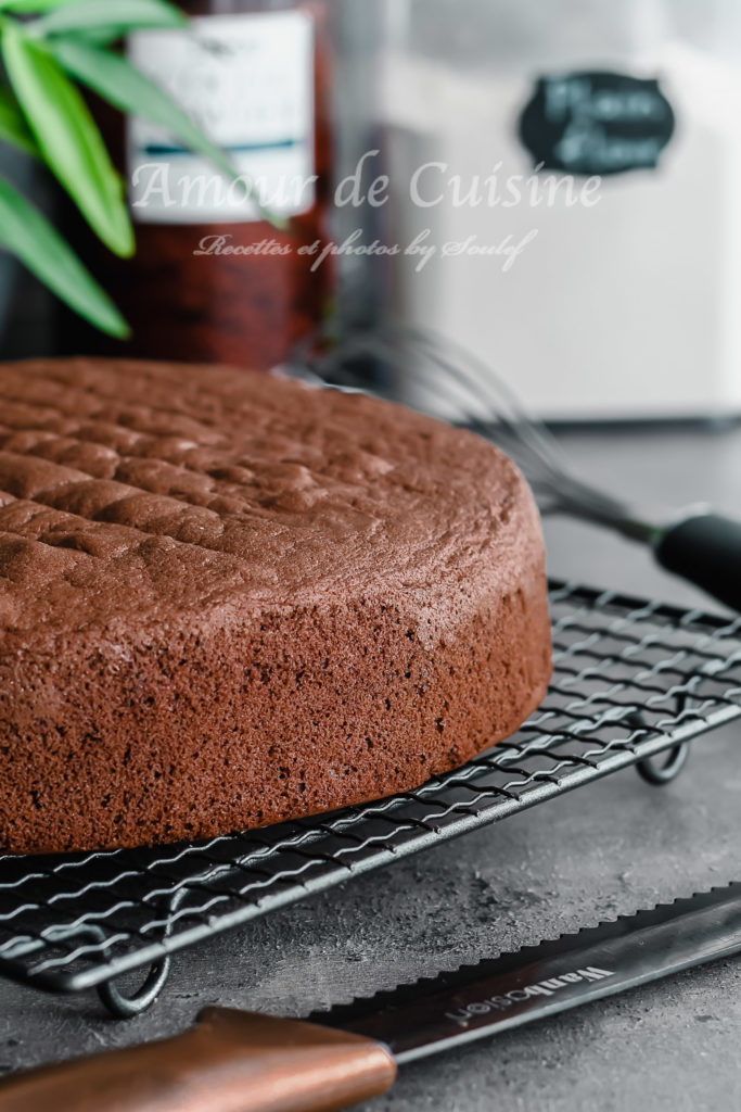 foolproof Chocolate Sponge Cake Recipe